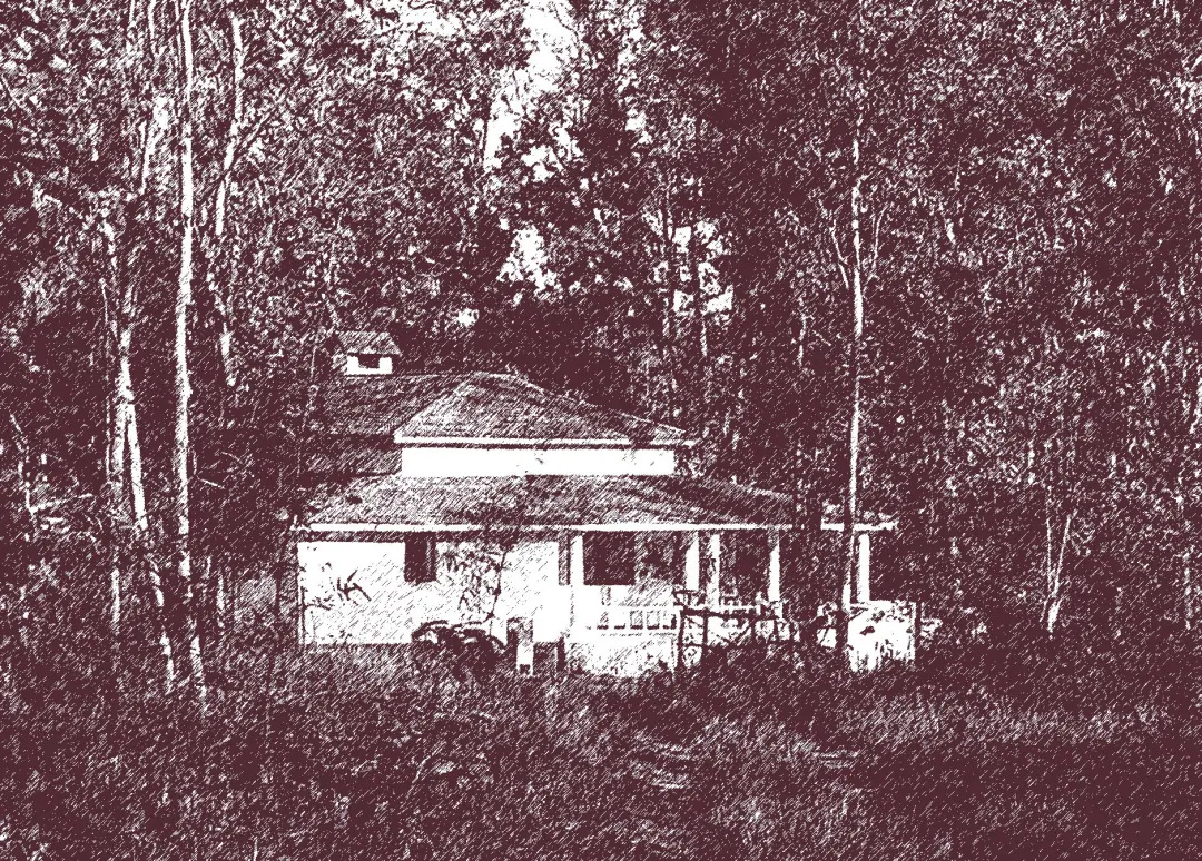 The Bungalow among the trees, rendered as an engraving