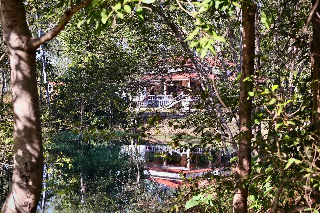 The Bungalow glimpsed through trees beside the stream