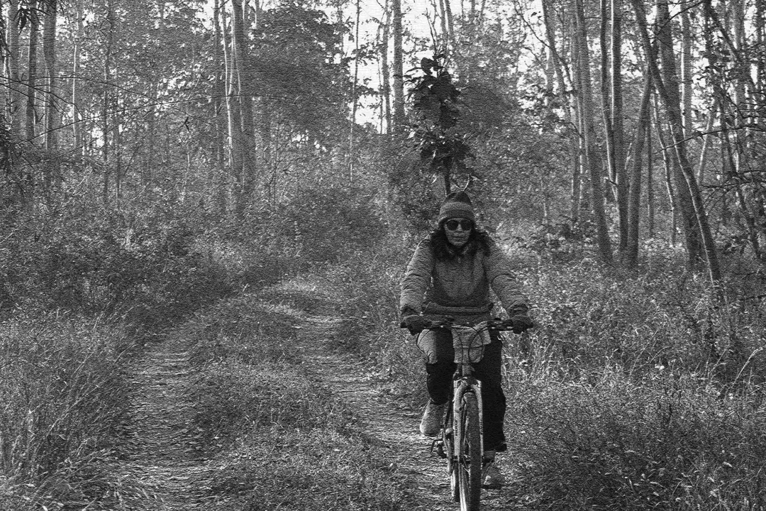 Cycling a forest trail, in black and white