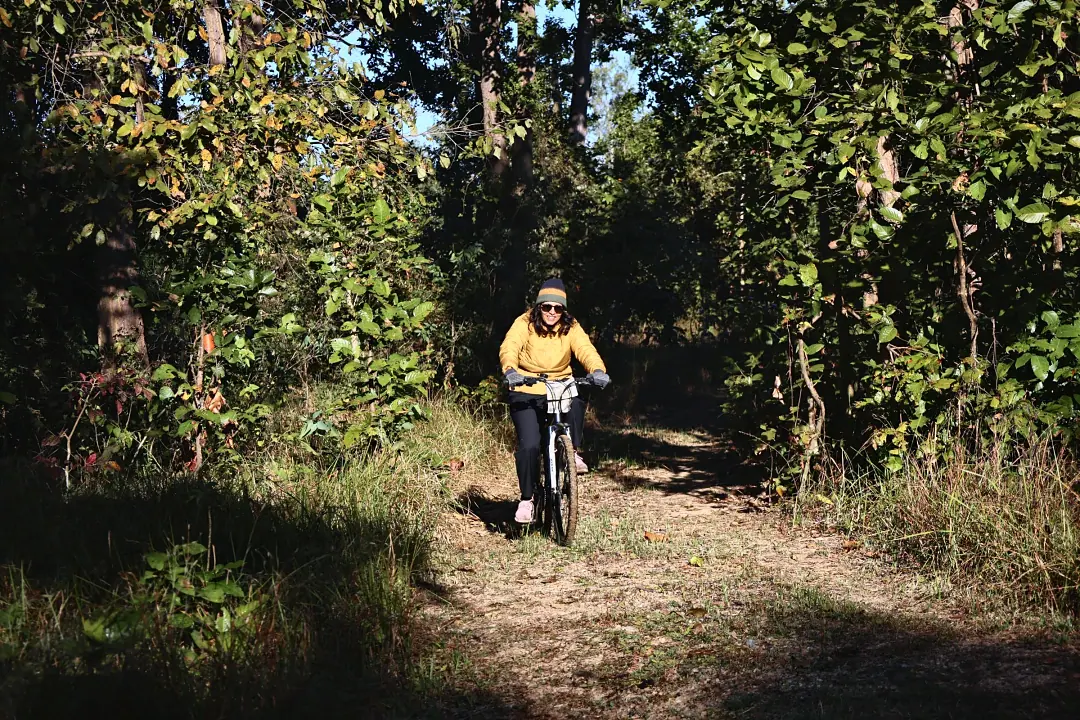 A guest cycling along a forest trail