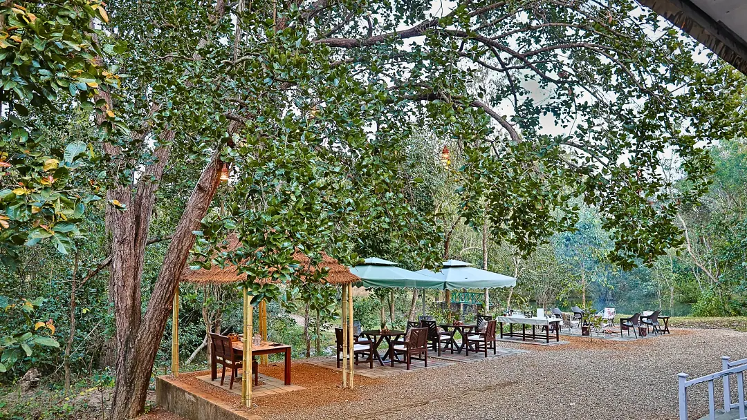 Dining pavilions at the forest edge