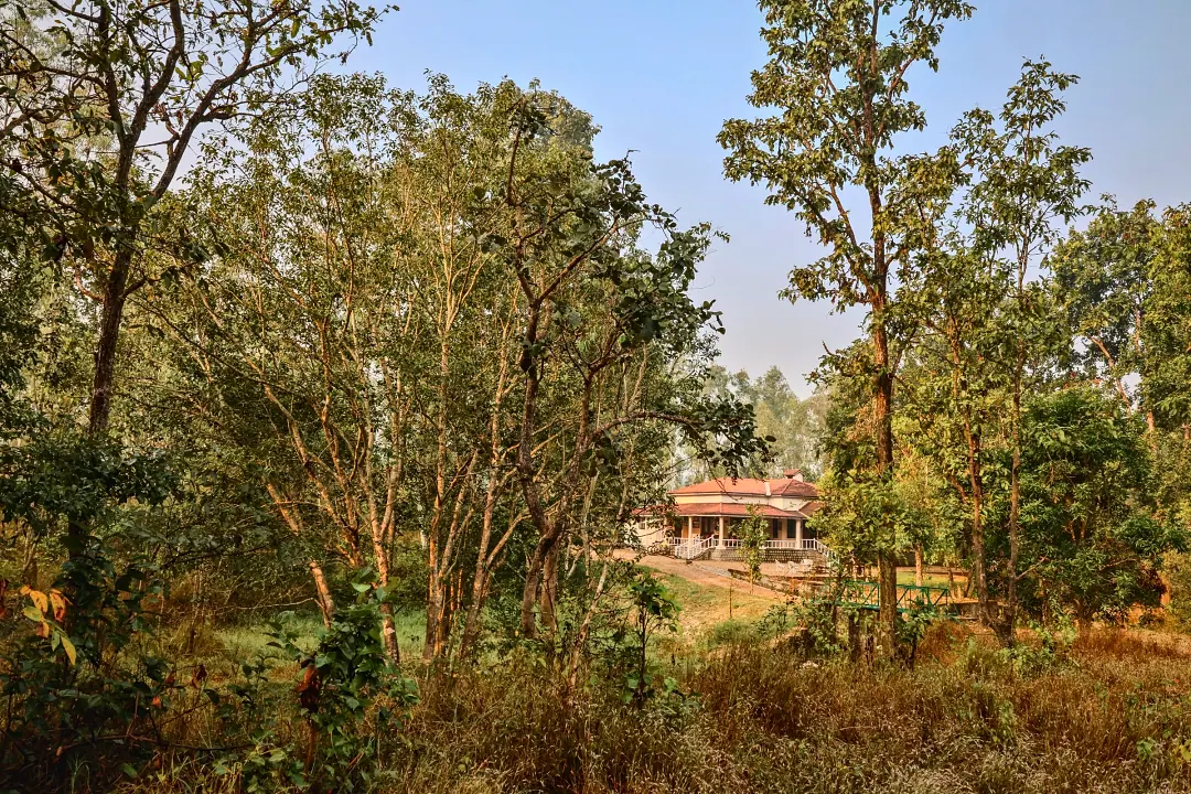The old bungalow glimpsed across the estate in late golden light